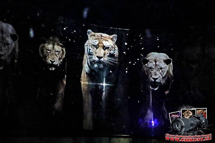 Cyrk z hologramami zwierząt już jutro
