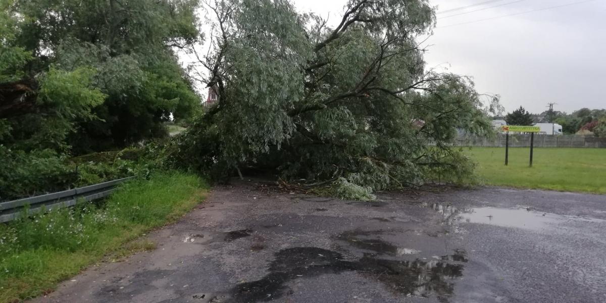 Kilka zerwanych dachów. 26 wyjazdów do połamanych drzew