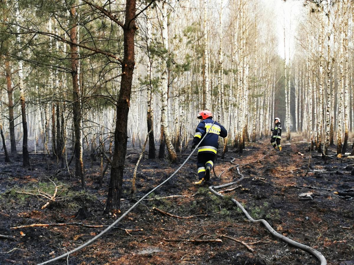 Drugi dzień walczą z pożarem lasu