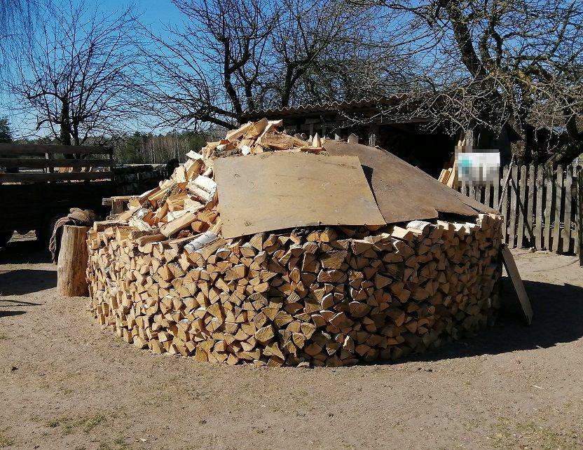 Łupem padło 60 drzew