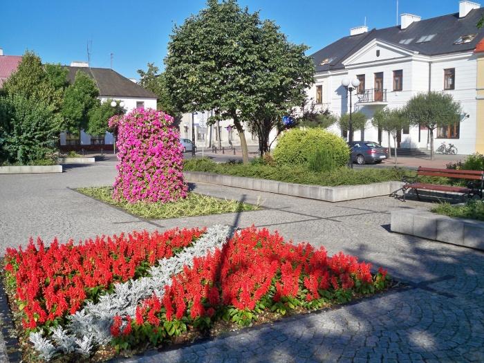Nowa szefowa bialskiej Zieleni