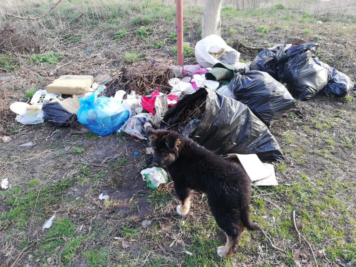 Posprzątajmy Sławacinek i Porosiuki. Akcja mieszkańców