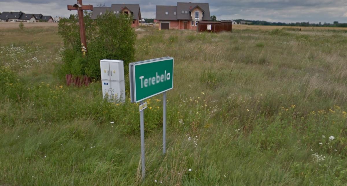 Zabawa z choinką tle