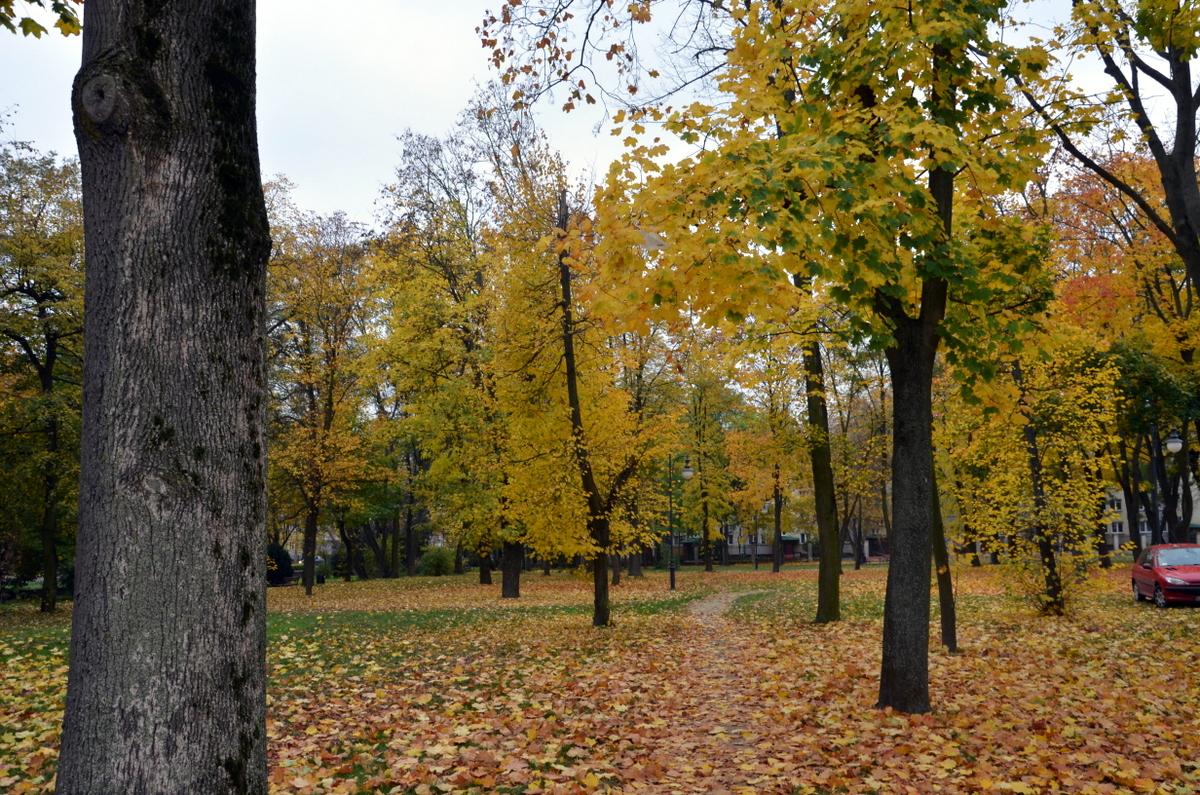 Park wypełni muzyka