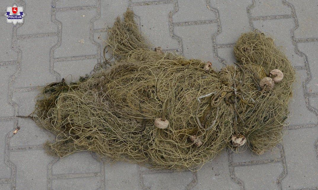 Kłusowali na Bugu. Grozi im nawet pozbawienie wolności