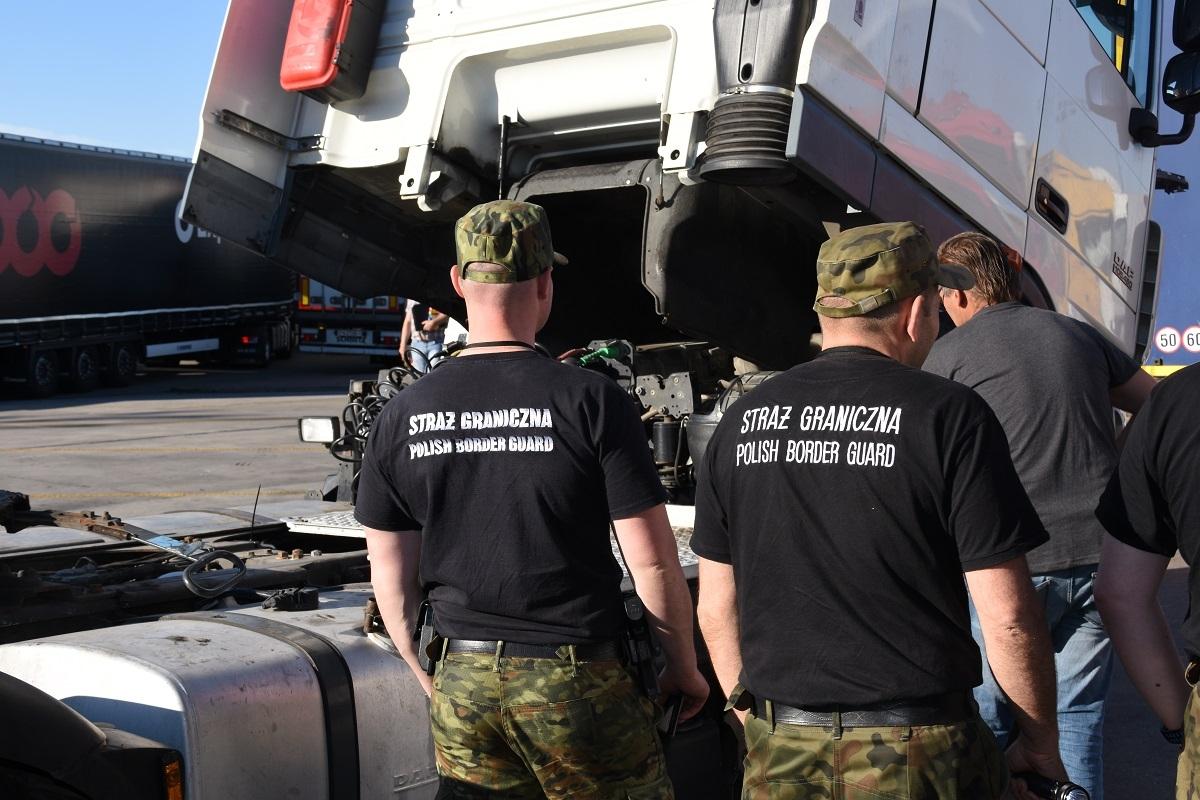 DAF pozostał w Polsce