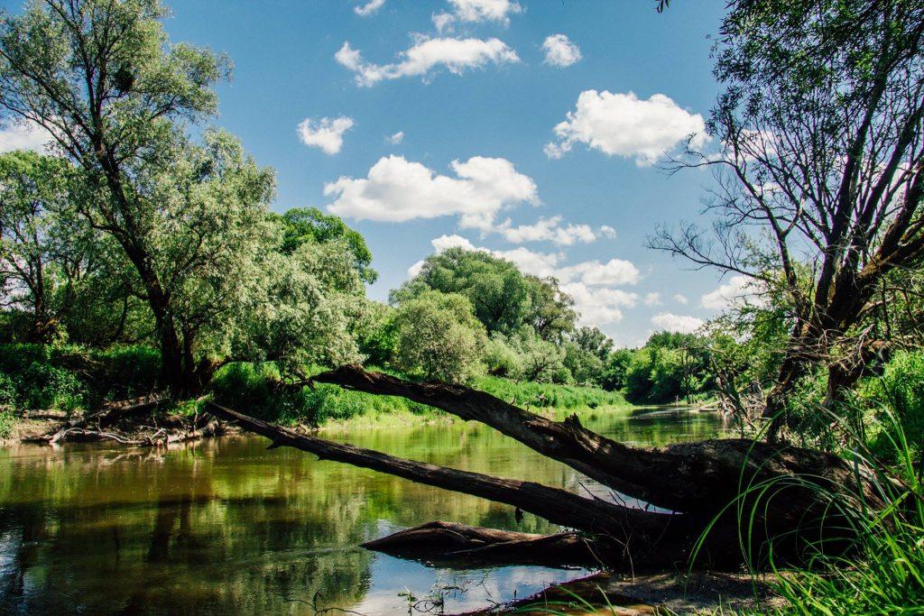 Znad Bugu znikną śmieci