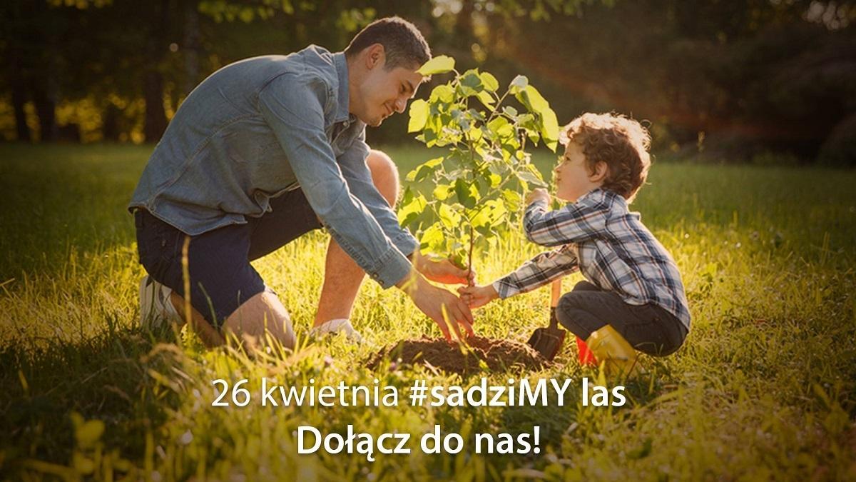 Posadzą 100 tys. drzew! Jutro rozdadzą sadzonki