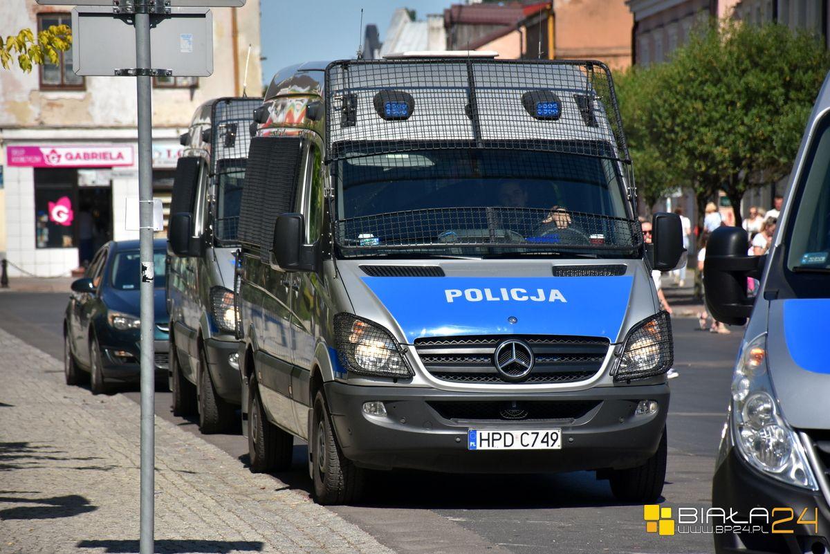 Zabrał labradora z kojca