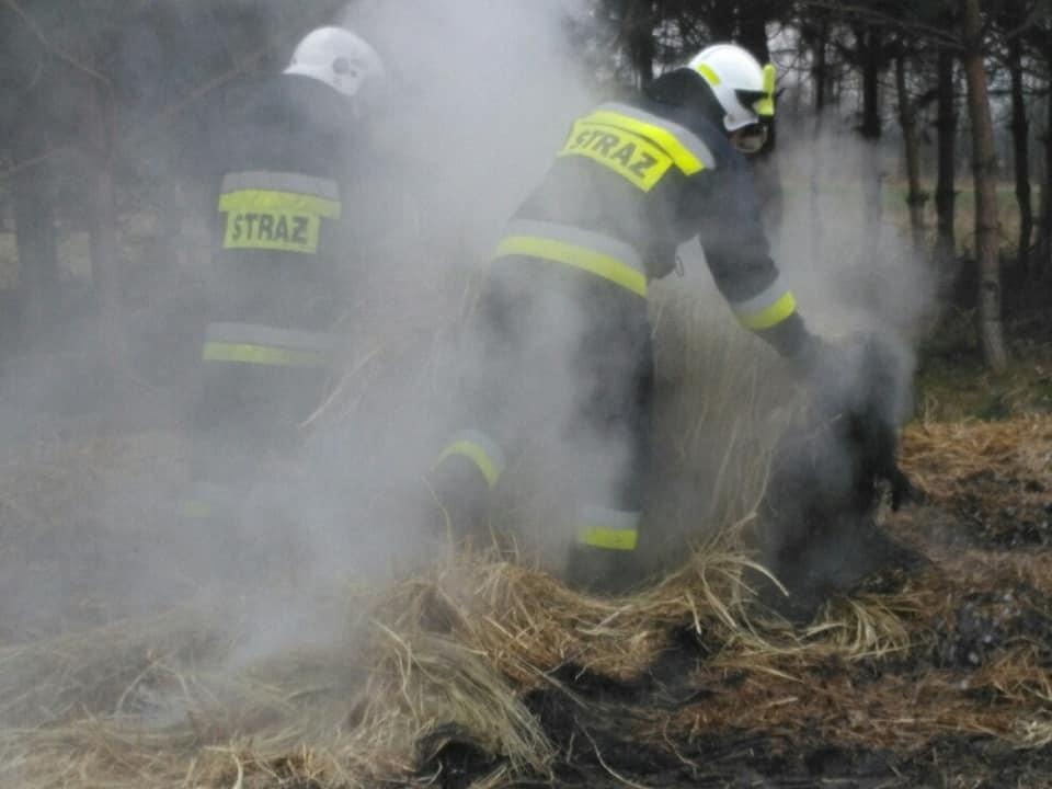 Pięć zastępów gasiło pożar bel