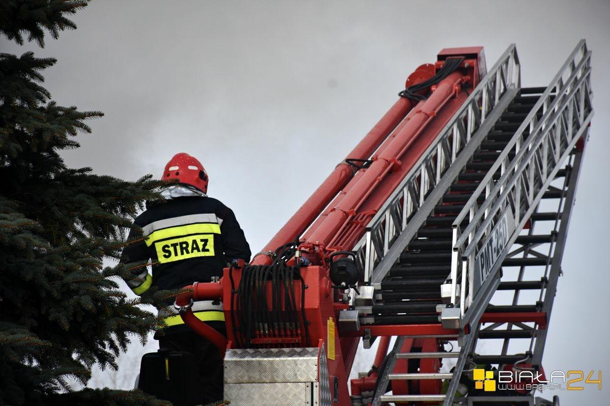Ponad 50 strażaków walczyło ze skutkami silnego wiatru