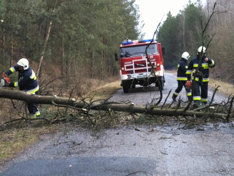 Silny wiatr łamał drzewa. Zerwał też dach domu
