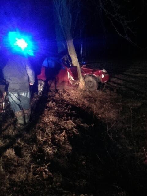 Dwie osoby ranne. Auto zatrzymało się na drzewie