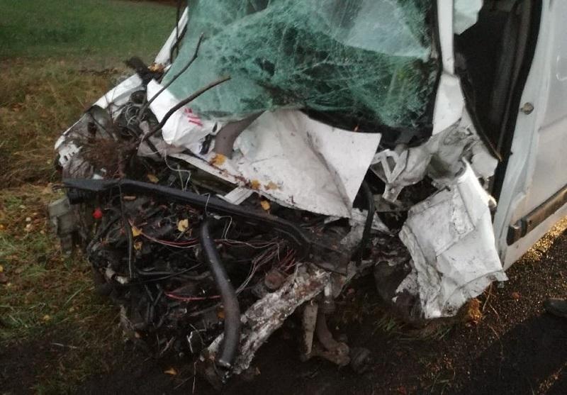 Stracił panowanie nad busem. Wjechał w drzewo
