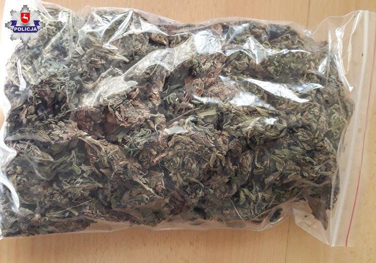 Za marihuanę może pójść do więzienia