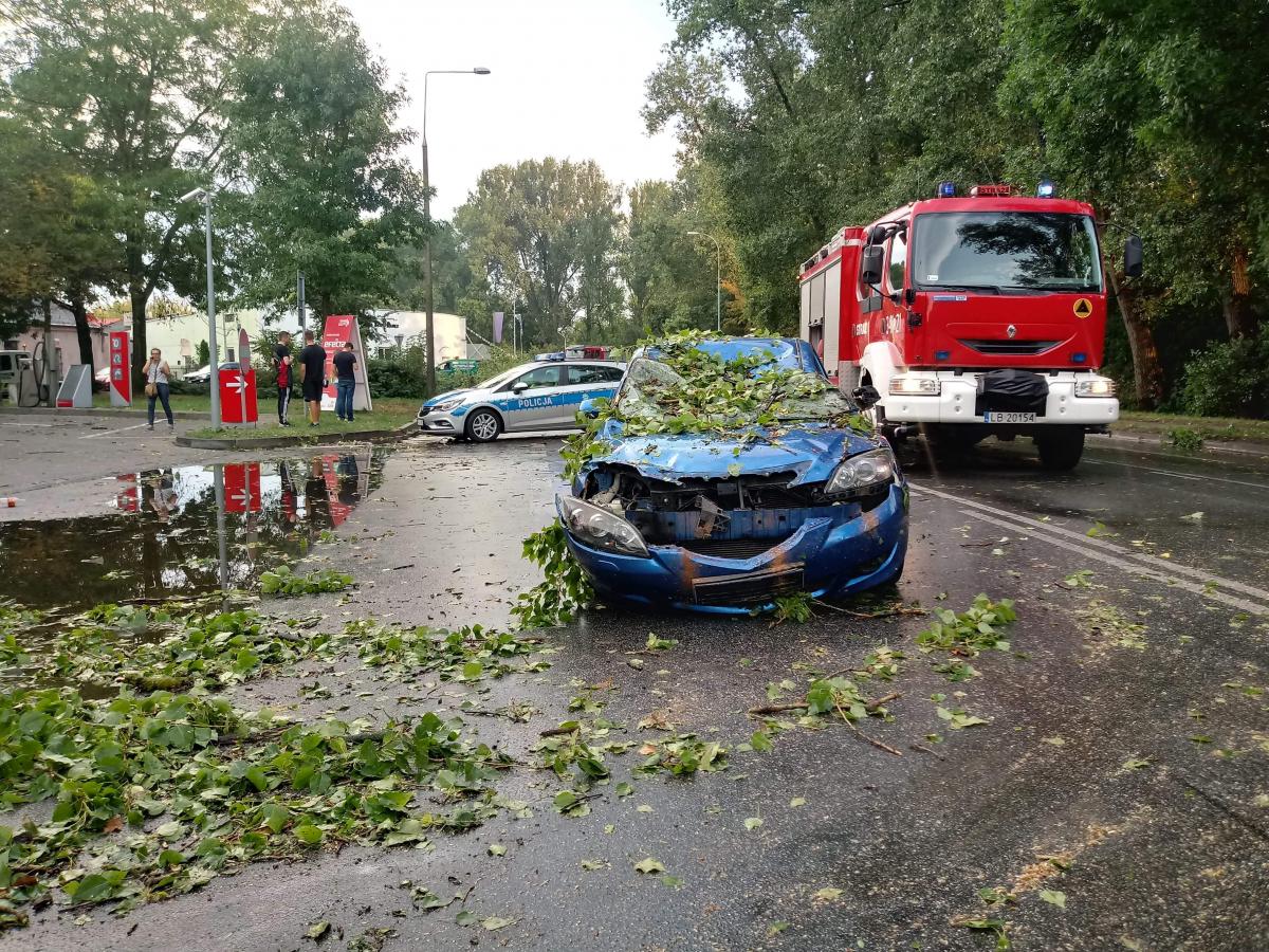 Wichura przeszla przez miasto. Drzewo zwaliło się na auta