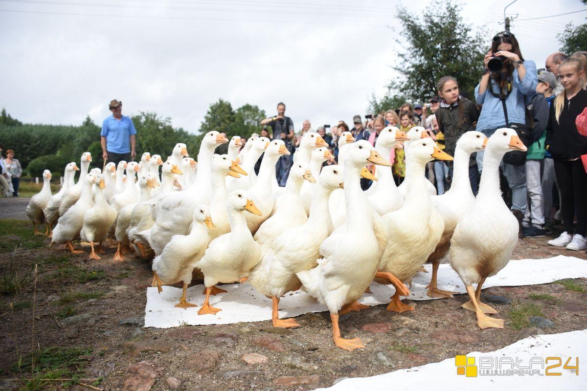 Wsią zawładnęła "sztuka ziemi"