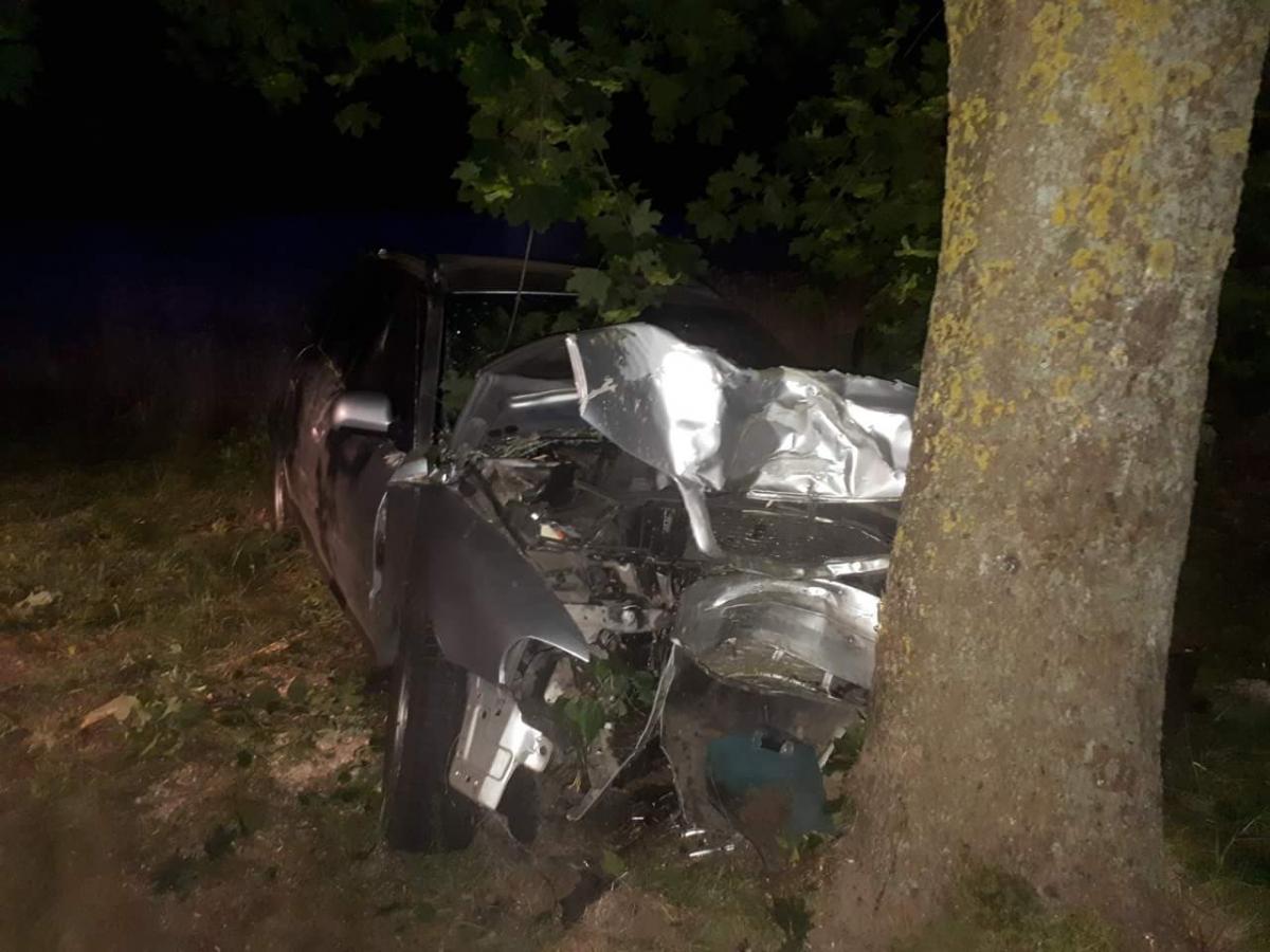 Wjechał w drzewo. Pasażerka w szoku poszła do domu