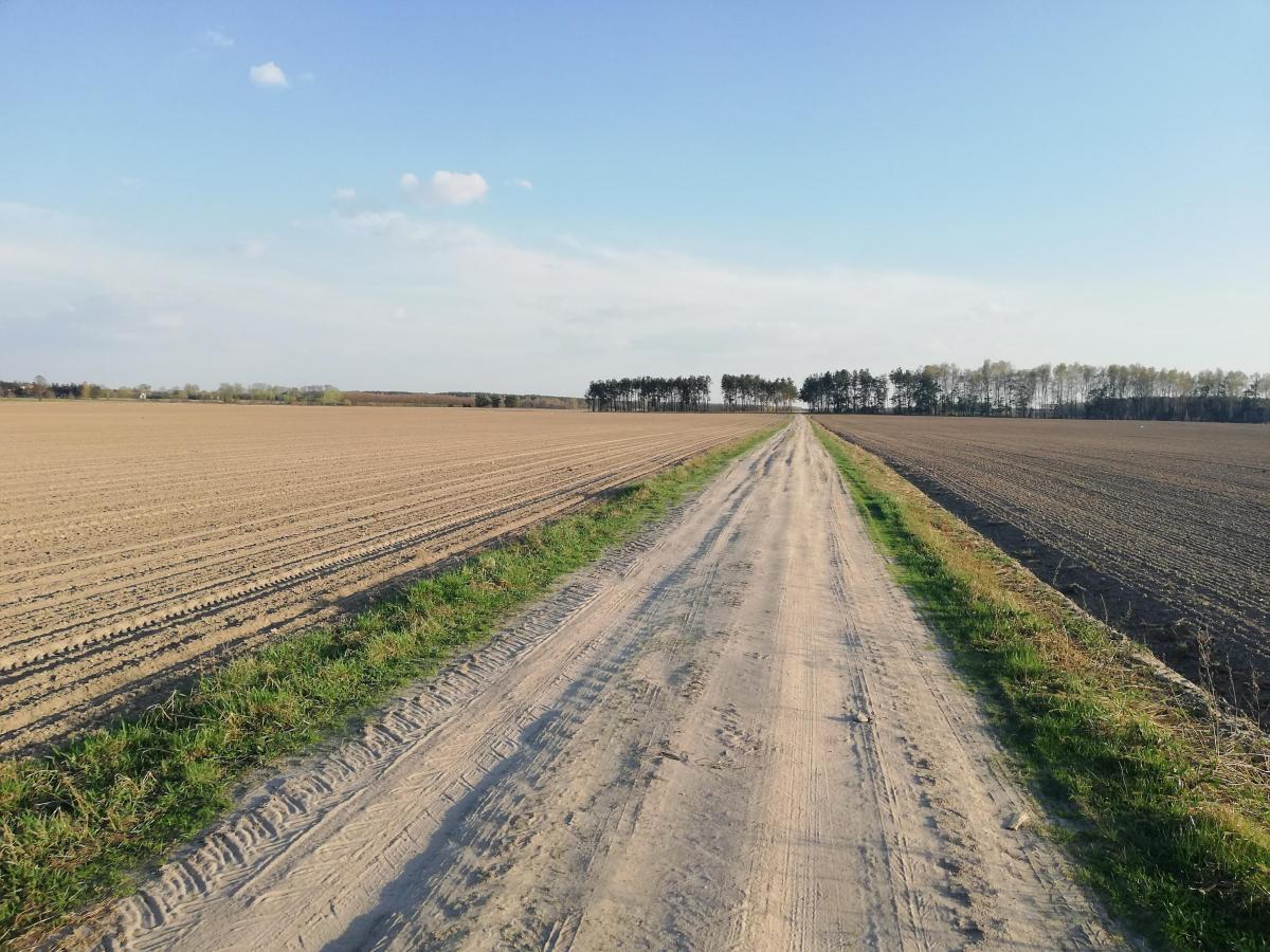 Po raz kolejny pokażą, jak dawniej żyło się na wsi