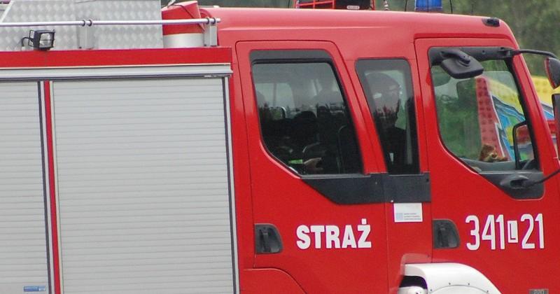 Podróż zakończył na drzewie