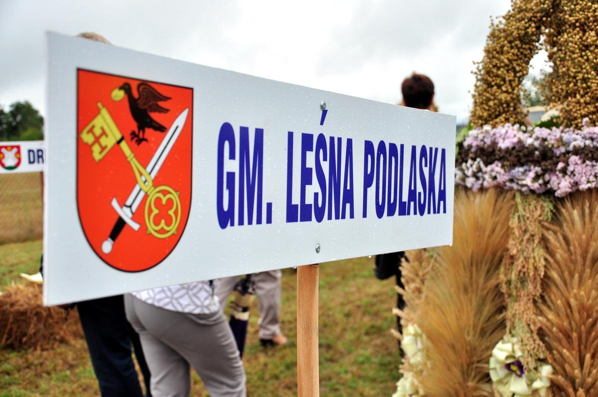 Spędź czas w kobiecym gronie