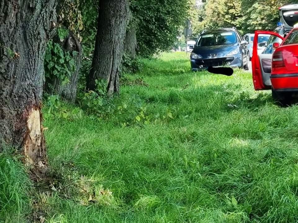 Wypadła z drogi i otarła się o drzewo. Uniknęła śmierci 