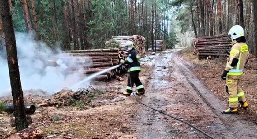 Ognisko w lesie pozostawione bez nadzoru w Wólce Dobryńskiej