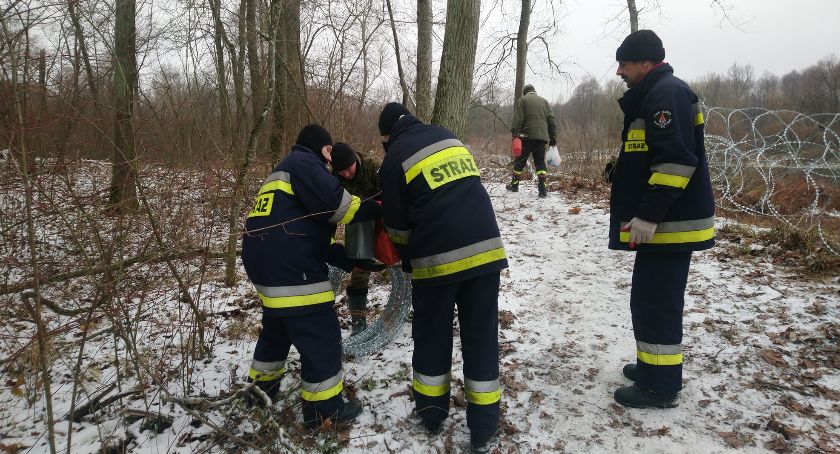 Druhowie pomagają budować zaporę na granicy 