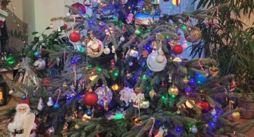 Wybierz najpiękniejszą choinkę w gminie Kodeń 