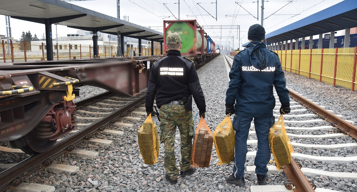 Udaremniono przemyt papierosów. Towar ukryty był w wagonach pociągów towarowych i pojeździe ciężarowym. 
