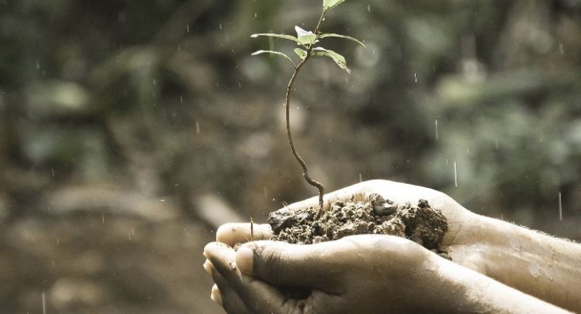 Miejski plan adaptacji do zmian klimatu dla Białej Podlaskiej
