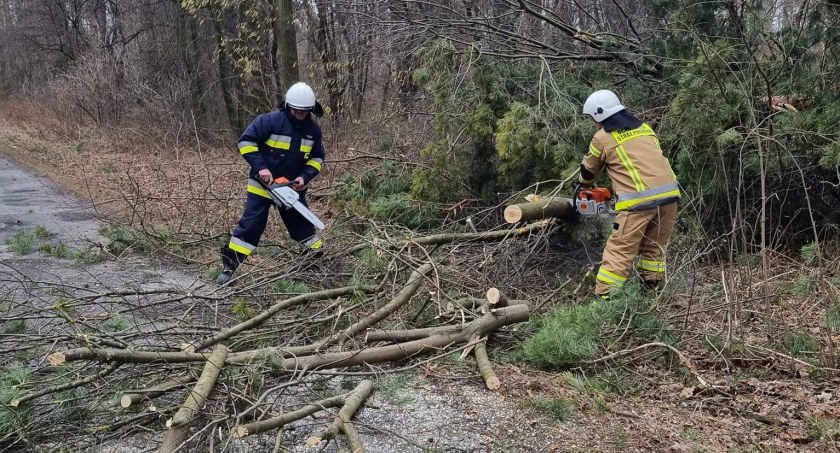 Kilkadziesiąt interwencji strażaków. Kilka uszkodzonych domów 