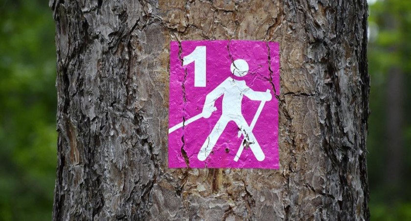 OSP w Starej Bordziłówce zaprasza na marsz Nordic Walking Wilczym Tropem