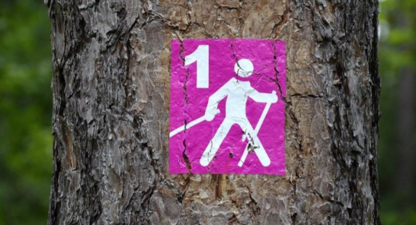 Stonoga z Nordic Walking na bialskiej uczelni