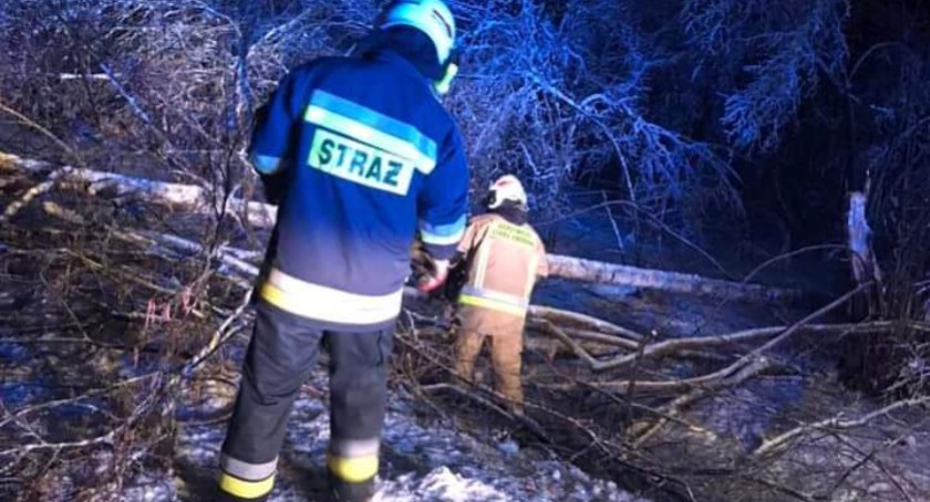 Drogi zablokowane. Strażacy usuwają powalone drzewa w powiecie bialskim