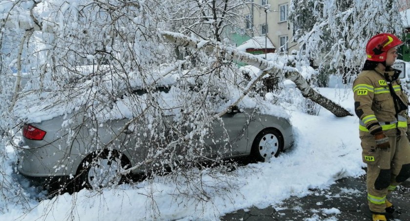 Straż pożarna podsumowuje ostatnie kilka dni. Ponad 160 interwencji związanych z powalonymi drzewami
