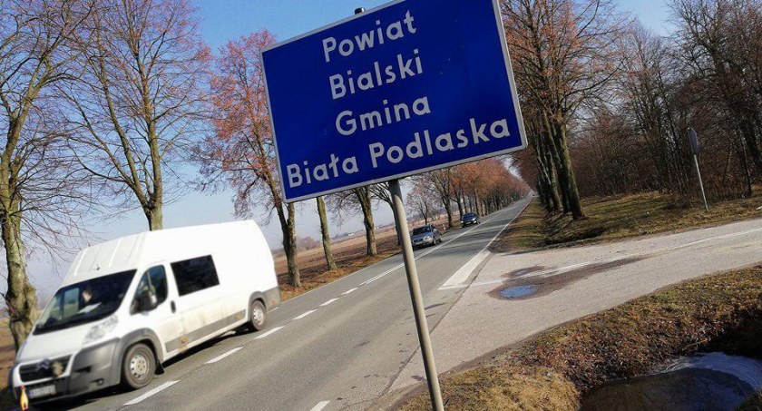 Ostatni dzień zapisów na warsztaty robienia drzewka