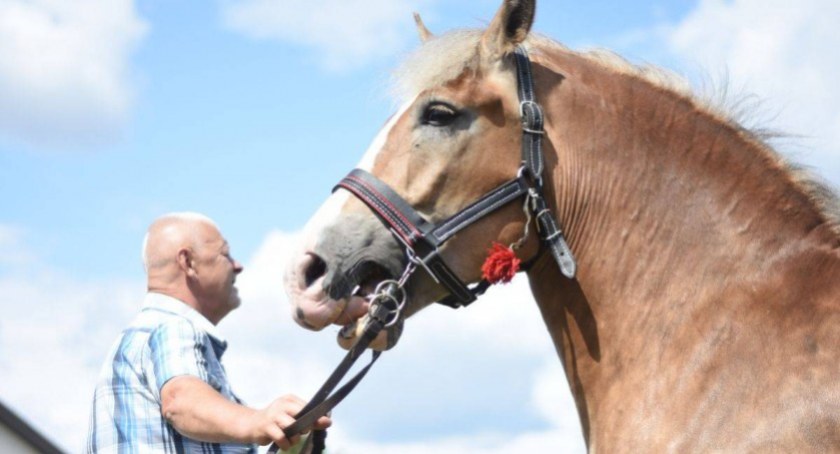 Zapisz się na zawody Hobby Horse 