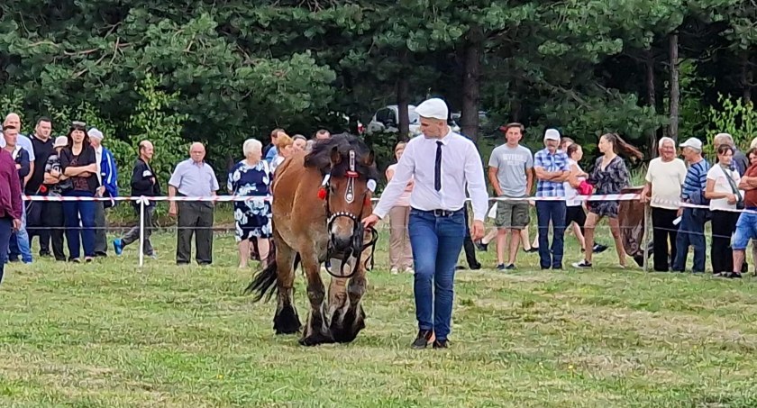 To już kolejna Wystawa Koni Zimnokrwistych w Tucznej