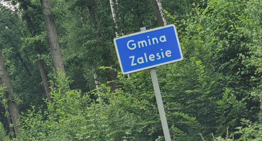 Bizonalia jak dożynki. Impreza w Lachówce Dużej