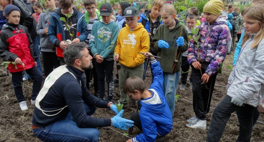 Leśnicy dali drzewka. Mieszkańcy je posadzili w miejskim Gaju