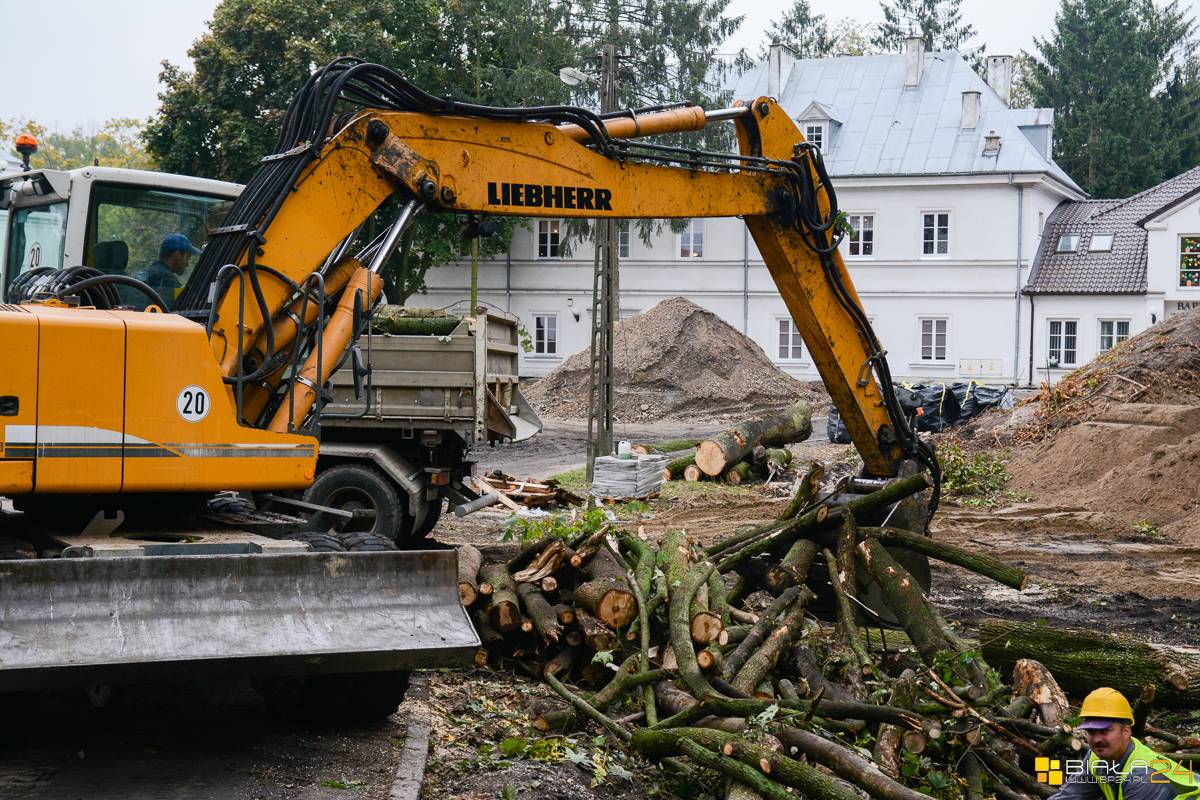 Wycinają drzewa by poprawić estetykę parku. Zobacz to na zdjęciach