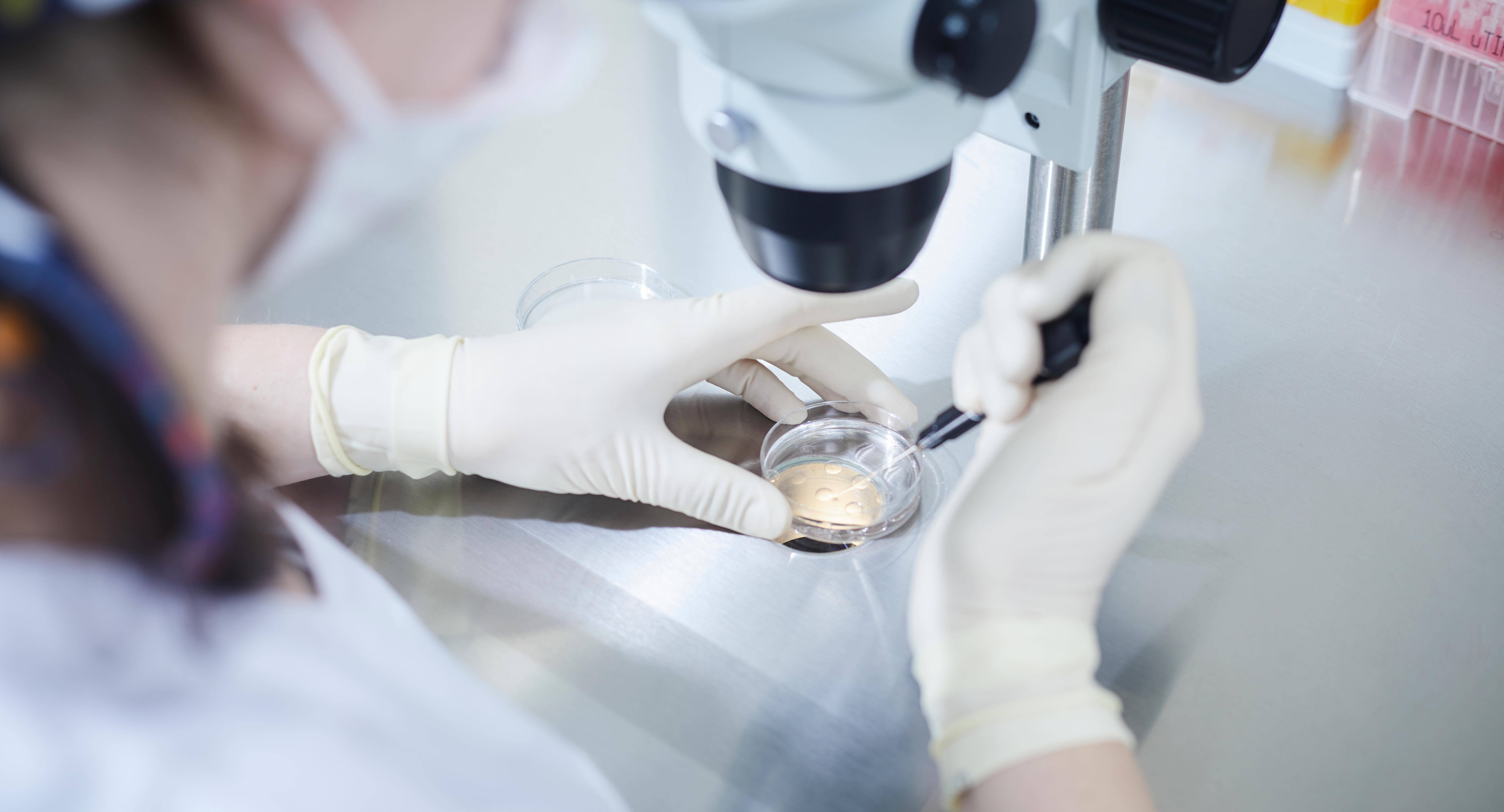 Dzięki in vitro z komórką dawczyni marzenie o byciu mamą staje się realne 