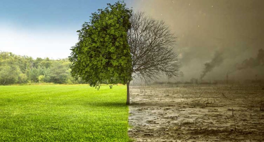 Szkolenia dla mieszkańców „Zadbajmy o dobrą atmosferę”