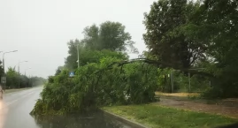 Strażacy podsumowali skutki nawałnicy. W powiecie bi&hellip;