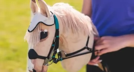 Hobby Horse znów w Tucznej! Trwają zapisy na wielki turniej