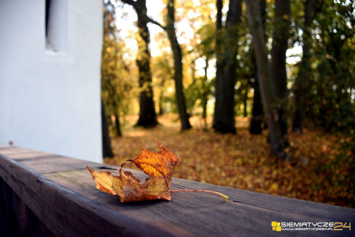 Stwórz pejzaż przy pomocy natury 