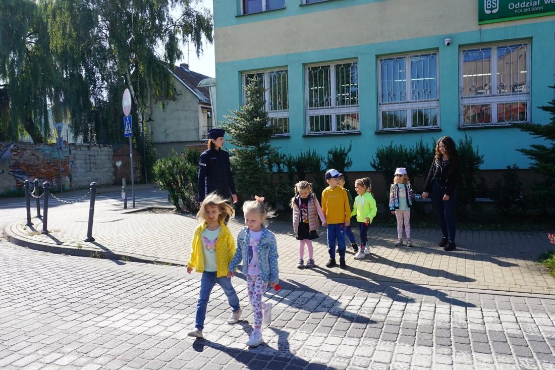 Pszczółki i jeżyki będą bezpieczne na drodze