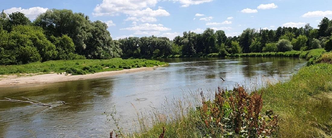 Weź udział w badaniu