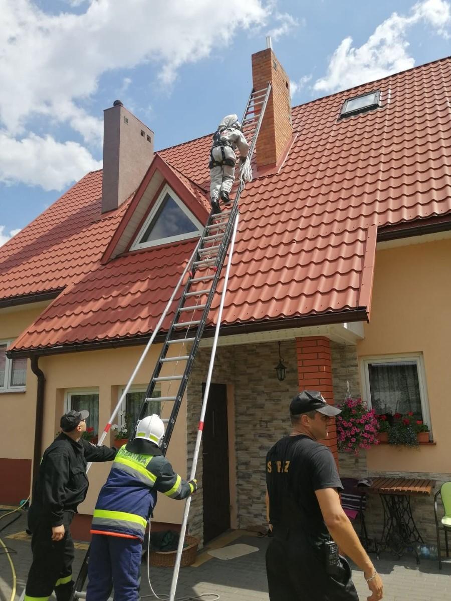 Przewód wentylacyjny kwaterą niebezpiecznych owadów